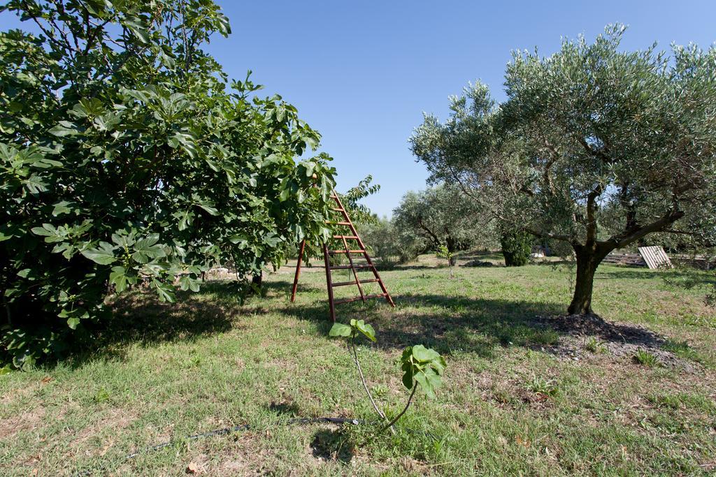 Bed and Breakfast Mas Des Collines Fontvieille Zimmer foto